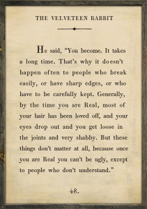 Velveteen Rabbit