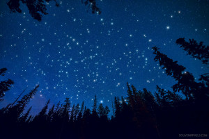 stars