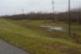 Cold November Day