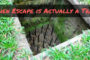 When Escape is Actually a Trap!
